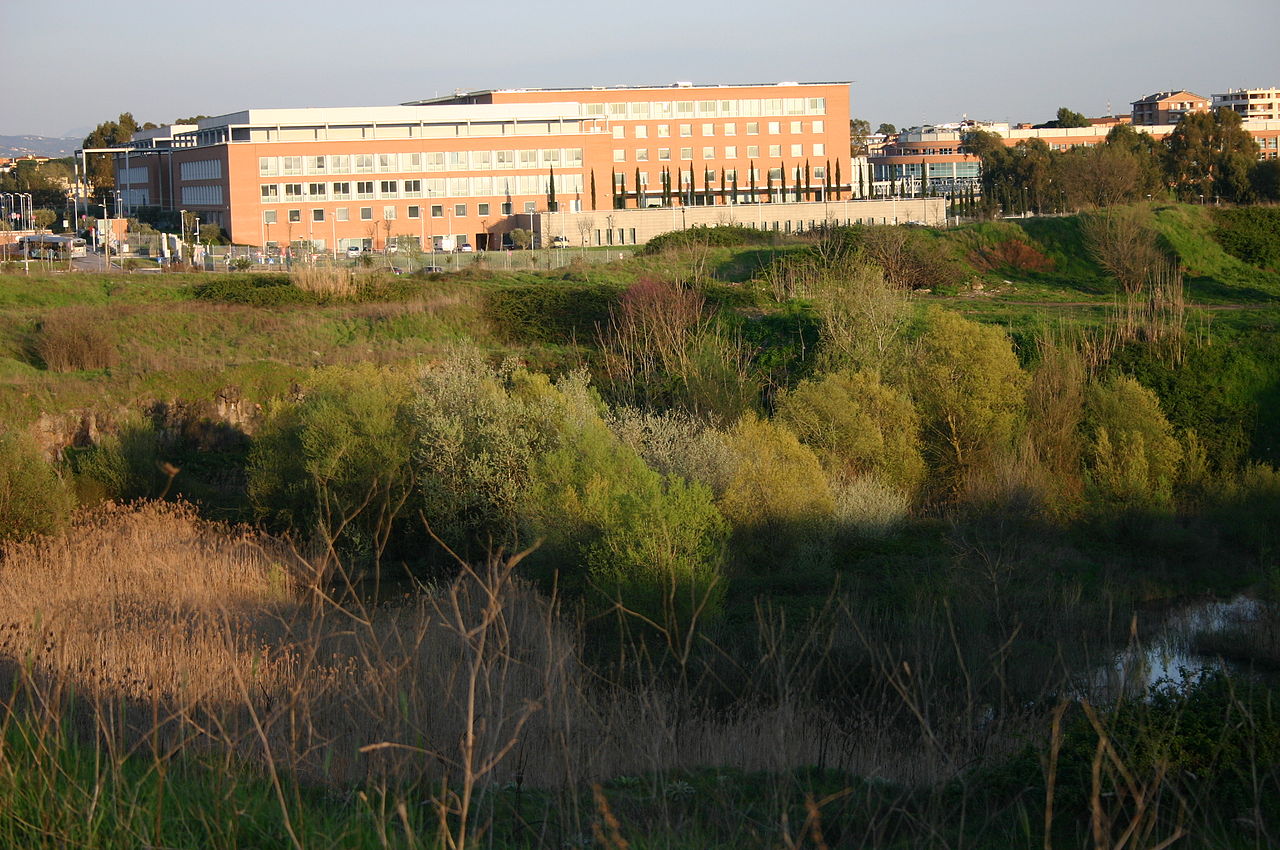 Campus Bio-Medico University Hospital in Rome